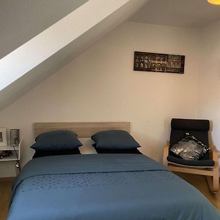 Joli Appartement Avec Place De Parking Prive Colmar Exterior photo