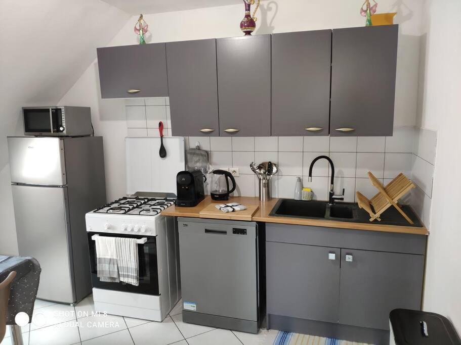 Joli Appartement Avec Place De Parking Prive Colmar Exterior photo
