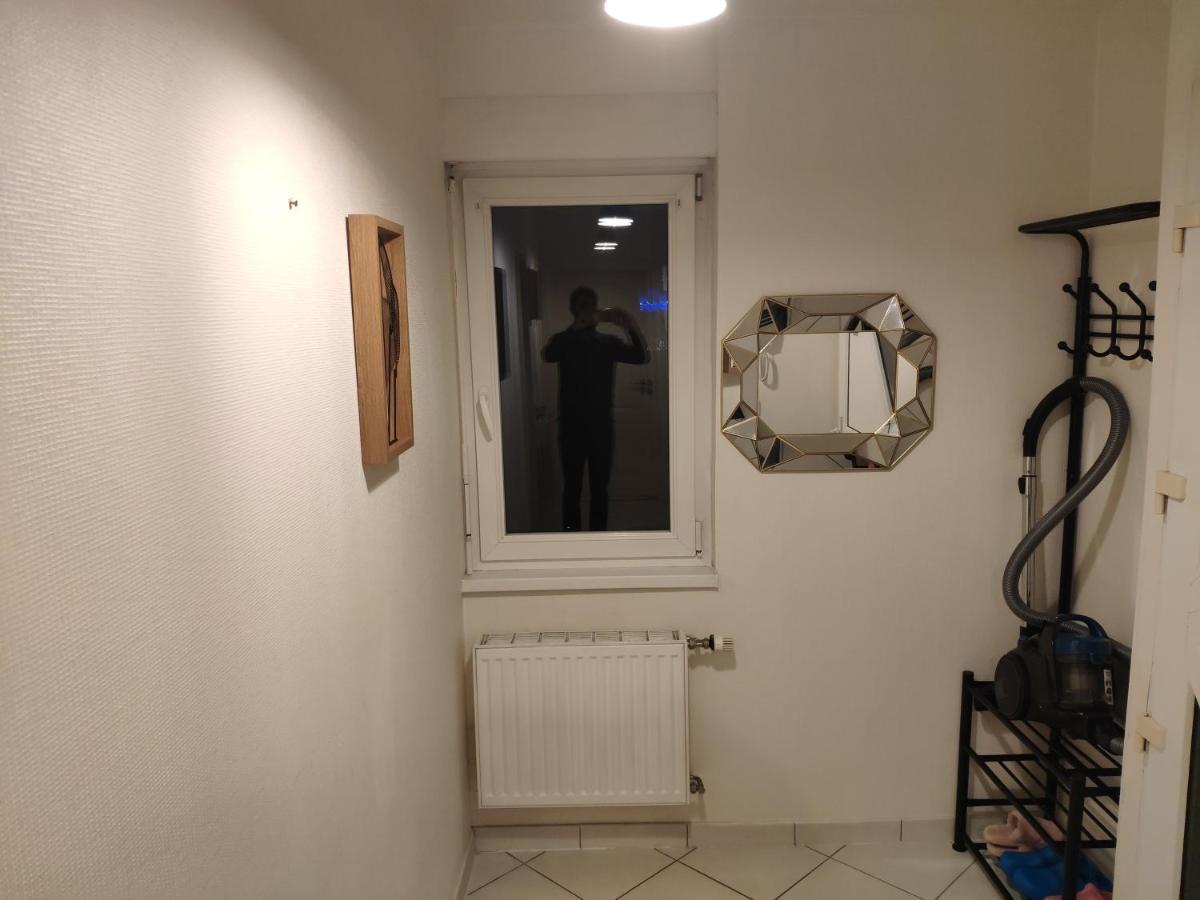 Joli Appartement Avec Place De Parking Prive Colmar Exterior photo